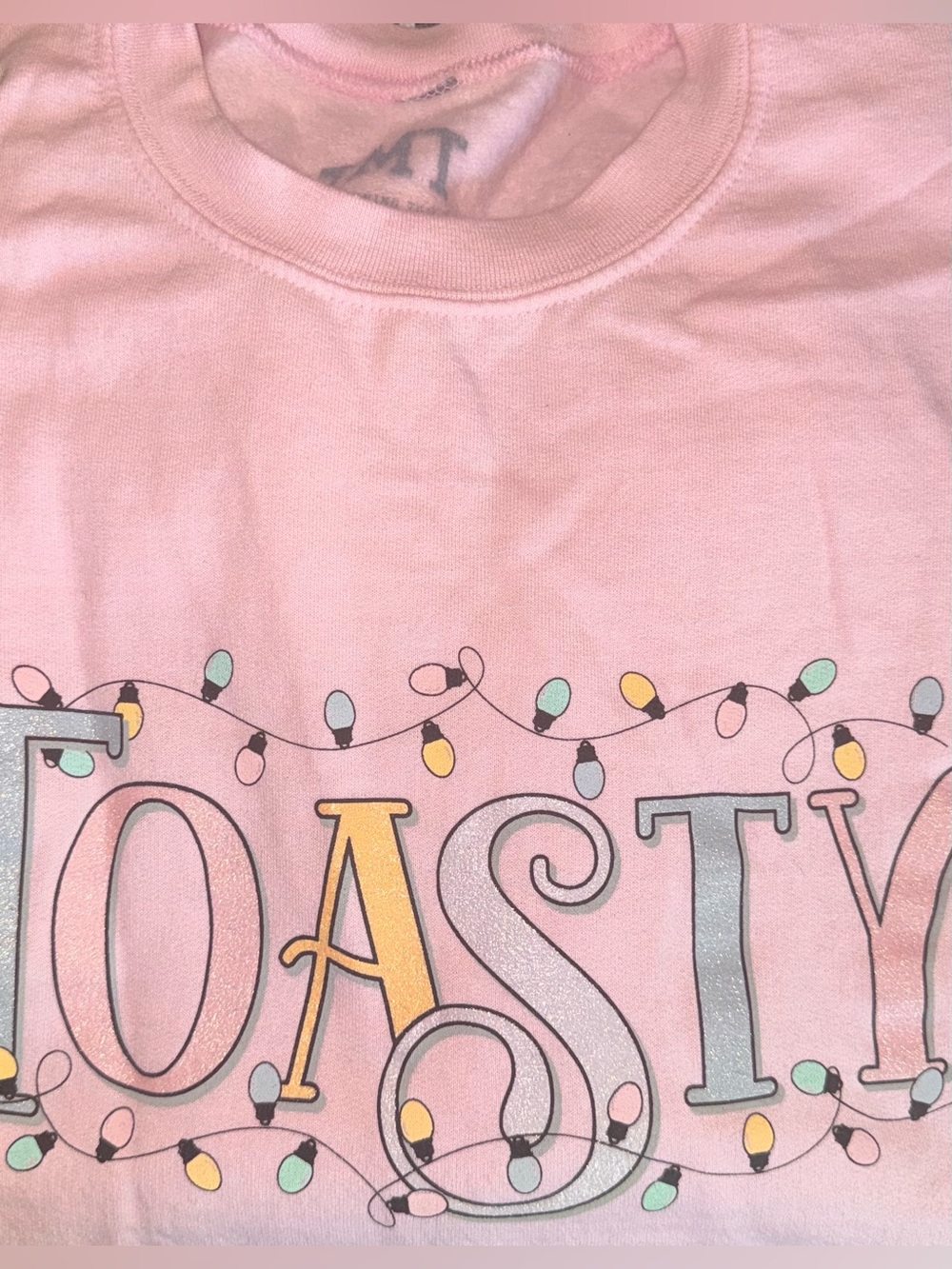NWOT The Toast Toasty Holiday Crewneck Pink